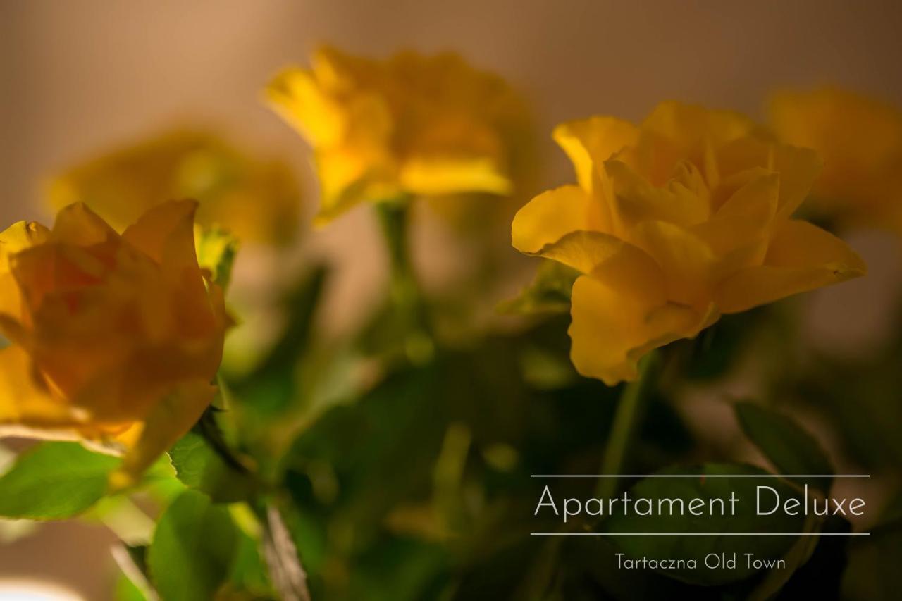 Tartaczna Old Town Apartman Gdańsk Kültér fotó